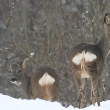 L'a Cote, Plain-pied Sans Vis-a-vis.