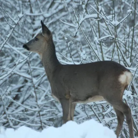 Tatil Evi L'a Cote, Plain-pied Sans Vis-a-vis. Spa