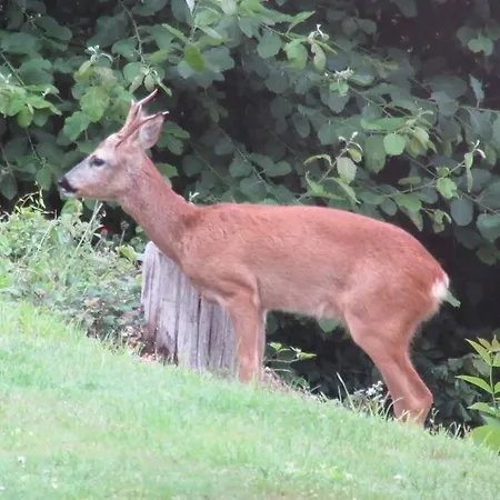 L'a Cote, Plain-pied Sans Vis-a-vis. Tatil Evi Spa