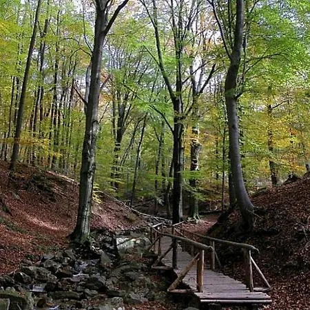 Tatil Evi L'a Cote, Plain-pied Sans Vis-a-vis. *