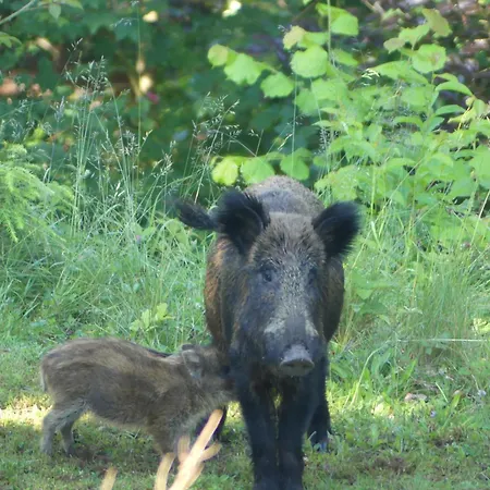 L'à Côté, Plain-pied Sans Vis-à-vis. Сasa de vacaciones