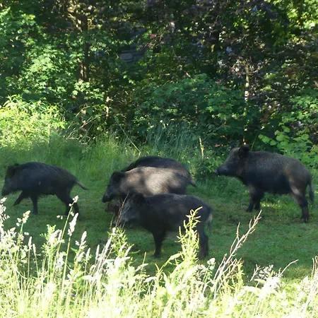 L'à Côté, Plain-pied Sans Vis-à-vis. Сasa de vacaciones