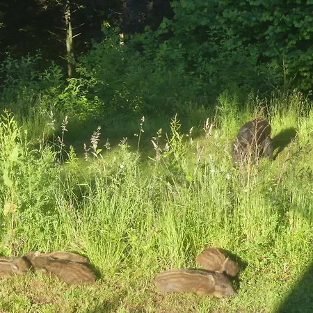 L'à Côté, Plain-pied Sans Vis-à-vis. Spa