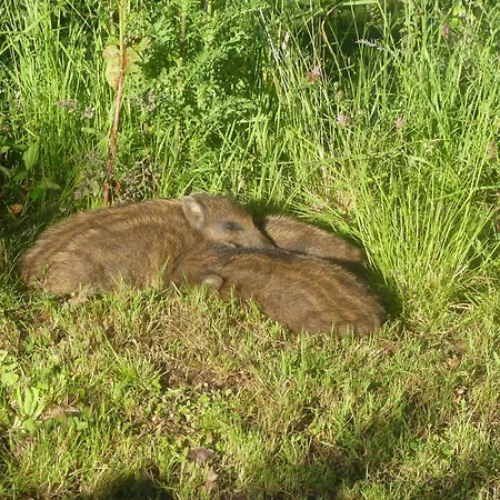 L'à Côté, Plain-pied Sans Vis-à-vis. Spa