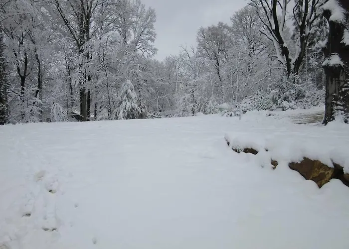 Сasa de vacaciones L'à Côté, Plain-pied Sans Vis-à-vis. Spa