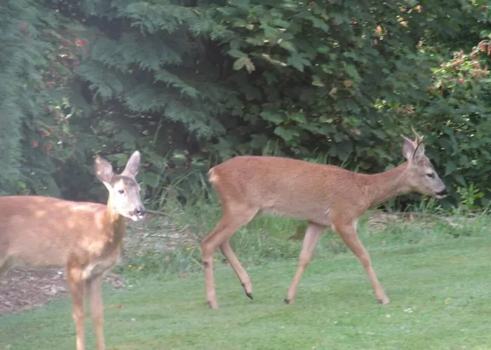 L'à Côté, Plain-pied Sans Vis-à-vis. Spa