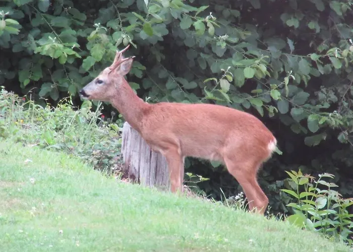 L'à Côté, Plain-pied Sans Vis-à-vis. Сasa de vacaciones Spa