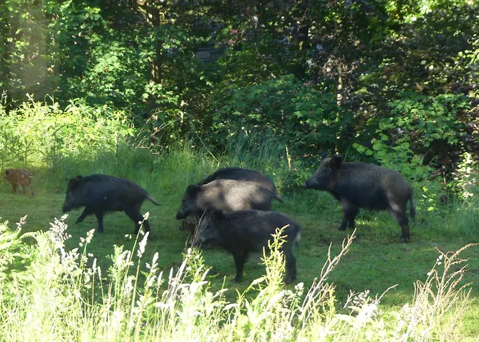 L'à Côté, Plain-pied Sans Vis-à-vis. Сasa de vacaciones