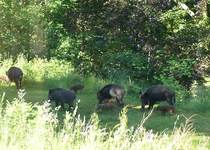L'à Côté, Plain-pied Sans Vis-à-vis.